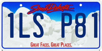 SD license plate 1LSP81