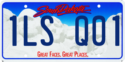 SD license plate 1LSQ01
