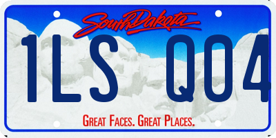 SD license plate 1LSQ04