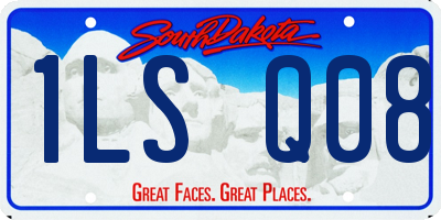 SD license plate 1LSQ08