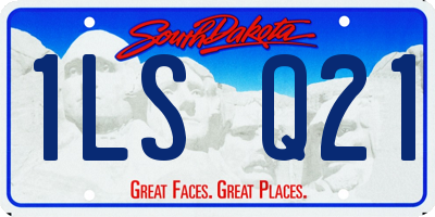 SD license plate 1LSQ21