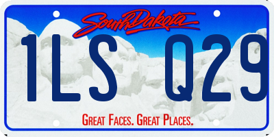 SD license plate 1LSQ29