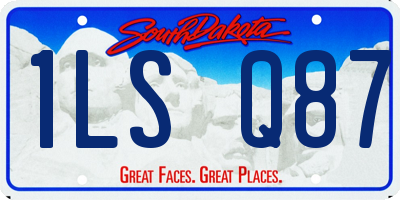SD license plate 1LSQ87