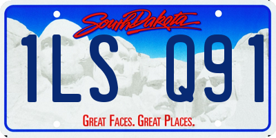 SD license plate 1LSQ91