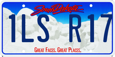 SD license plate 1LSR17