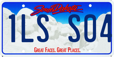 SD license plate 1LSS04