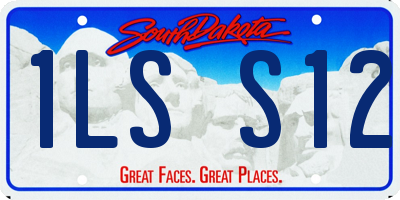 SD license plate 1LSS12