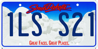SD license plate 1LSS21