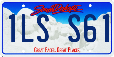SD license plate 1LSS61