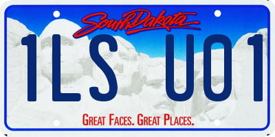 SD license plate 1LSU01
