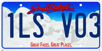 SD license plate 1LSV03