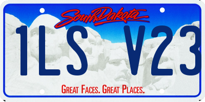 SD license plate 1LSV23