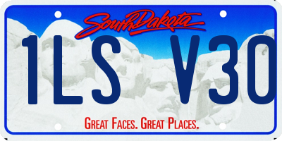 SD license plate 1LSV30