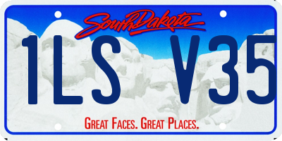 SD license plate 1LSV35