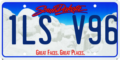 SD license plate 1LSV96
