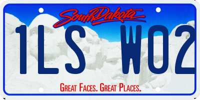 SD license plate 1LSW02