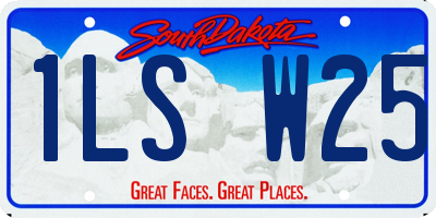 SD license plate 1LSW25