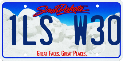 SD license plate 1LSW30