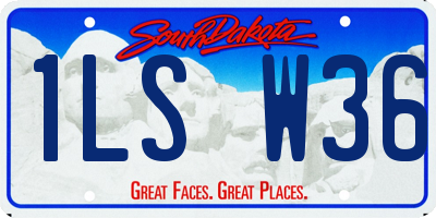SD license plate 1LSW36