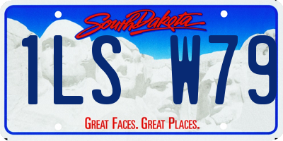 SD license plate 1LSW79