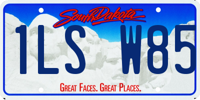 SD license plate 1LSW85