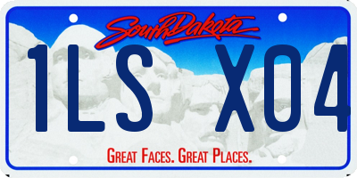 SD license plate 1LSX04
