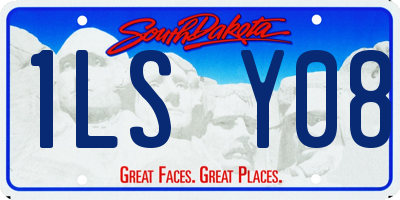 SD license plate 1LSY08