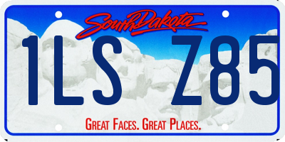 SD license plate 1LSZ85