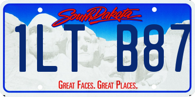 SD license plate 1LTB87