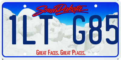 SD license plate 1LTG85