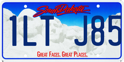SD license plate 1LTJ85