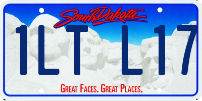 SD license plate 1LTL17