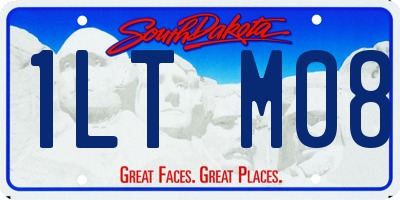 SD license plate 1LTM08