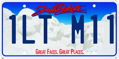 SD license plate 1LTM11