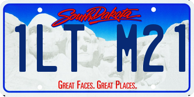 SD license plate 1LTM21