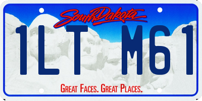 SD license plate 1LTM61