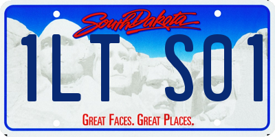 SD license plate 1LTS01