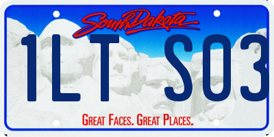 SD license plate 1LTS03