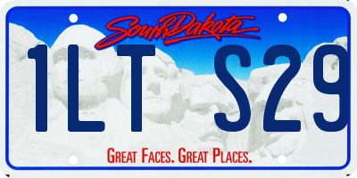 SD license plate 1LTS29