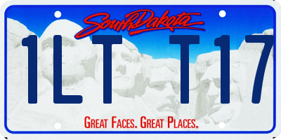 SD license plate 1LTT17