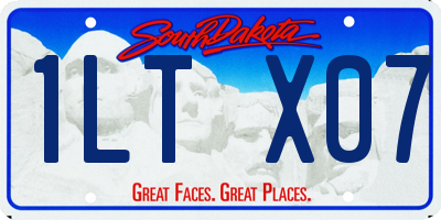SD license plate 1LTX07