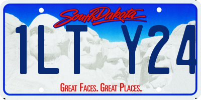 SD license plate 1LTY24