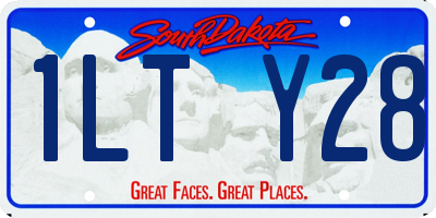 SD license plate 1LTY28