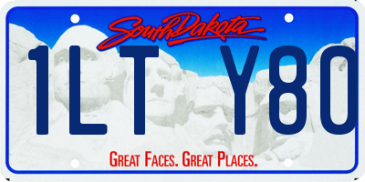 SD license plate 1LTY80