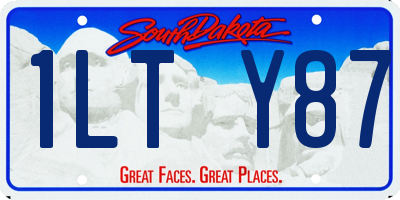 SD license plate 1LTY87