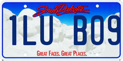SD license plate 1LUB09