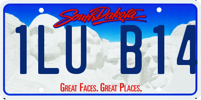 SD license plate 1LUB14