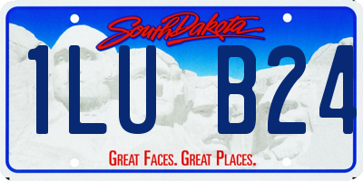 SD license plate 1LUB24