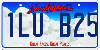 SD license plate 1LUB25