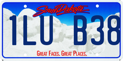 SD license plate 1LUB38
